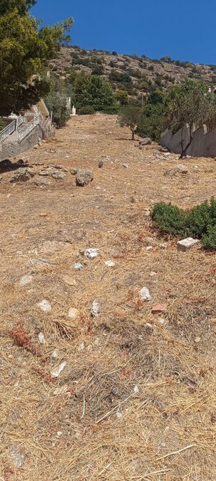 Photo 324813316