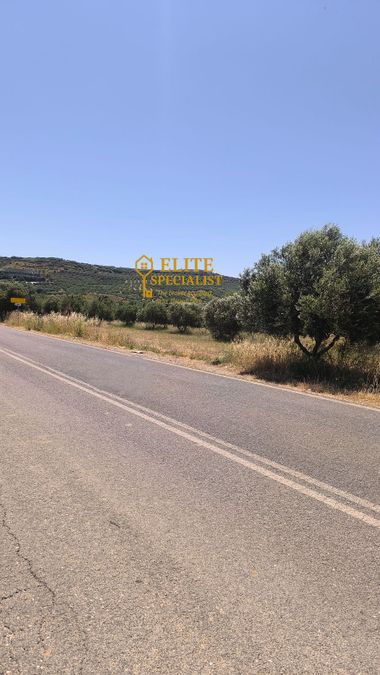 Photo 324924949