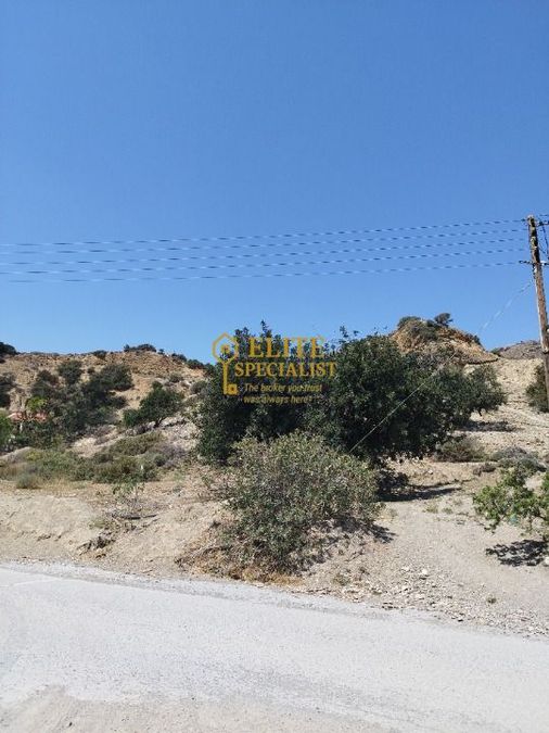 Photo 324925978