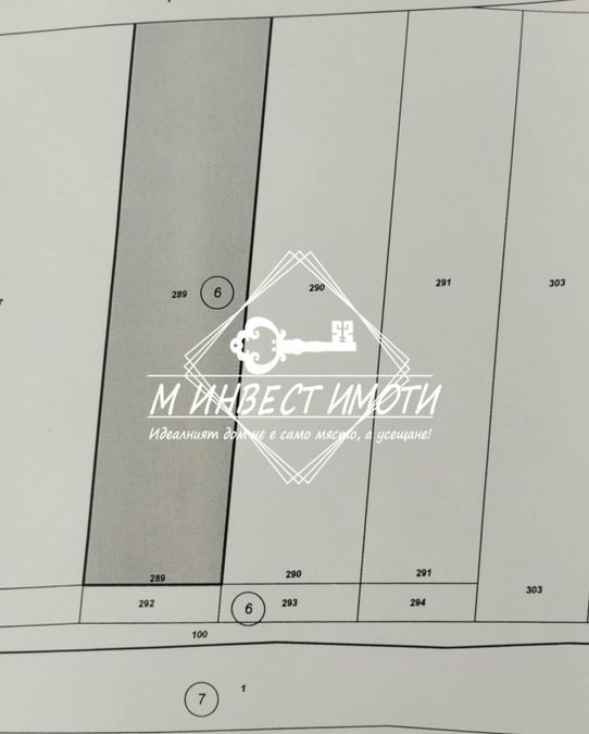 Снимка 325002898