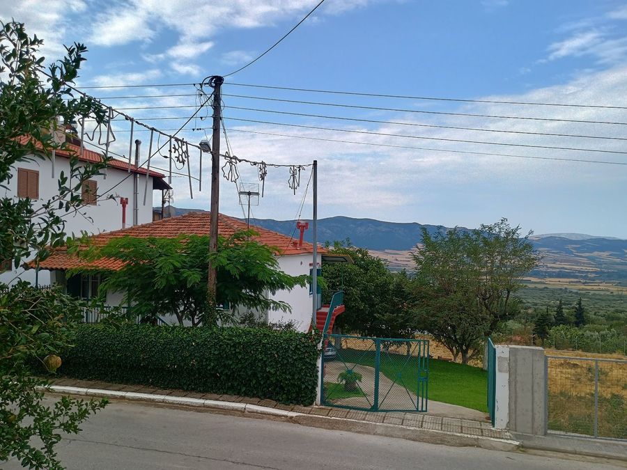 Photo 325044616