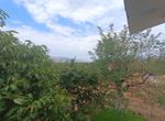 Photo 325044637