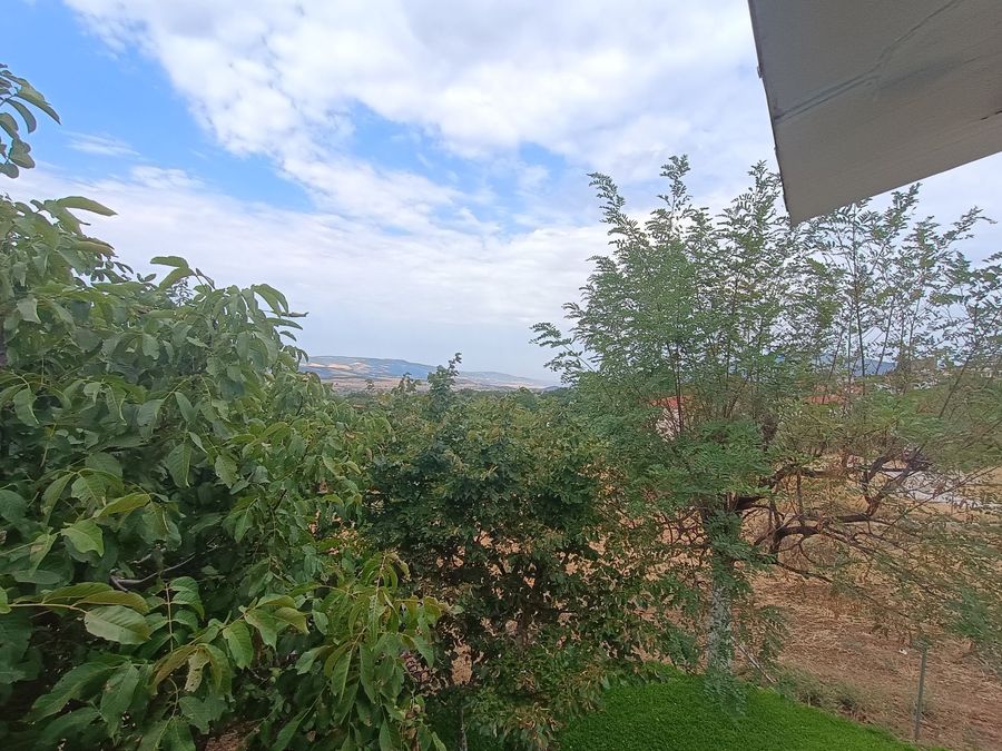 Photo 325044637