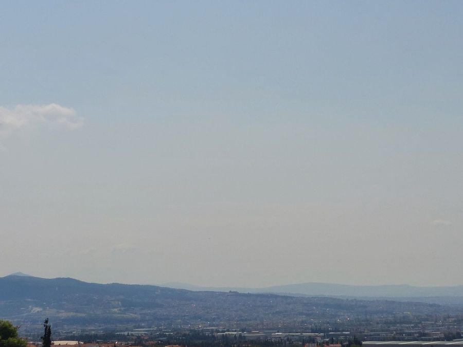 Photo 325076809