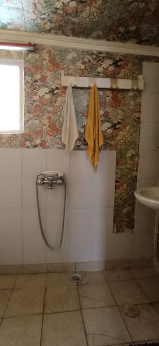 Photo 325125511