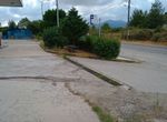 Photo 325131559