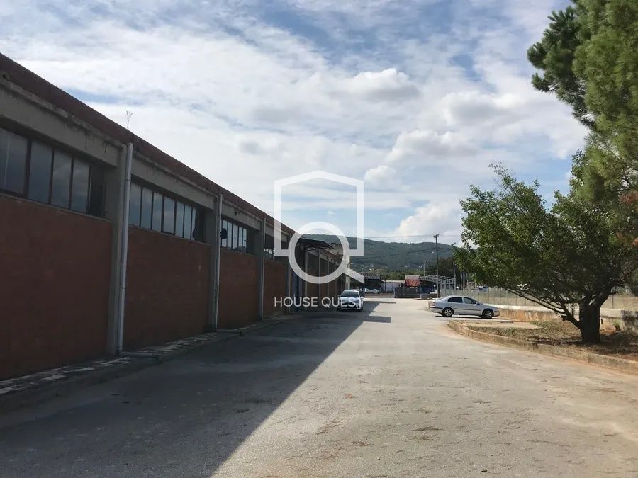 Photo 325164967