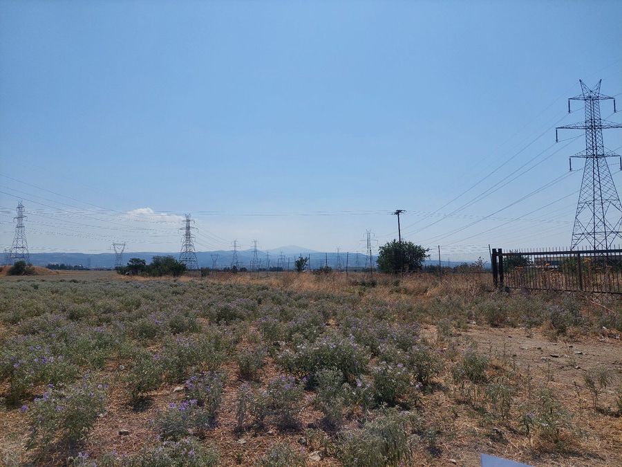 Photo 325227499