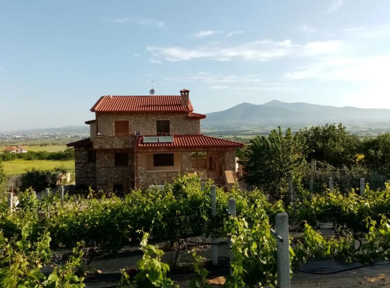Photo 325307527
