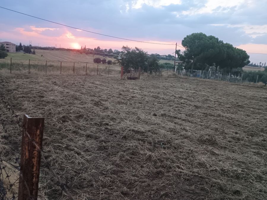 Photo 325327696