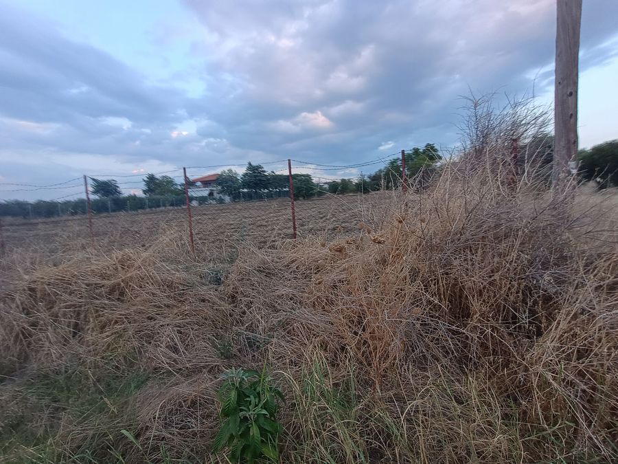 Photo 325327711