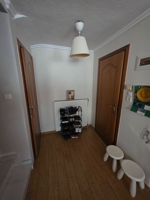 Снимка 325358866