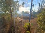 Photo 325414264