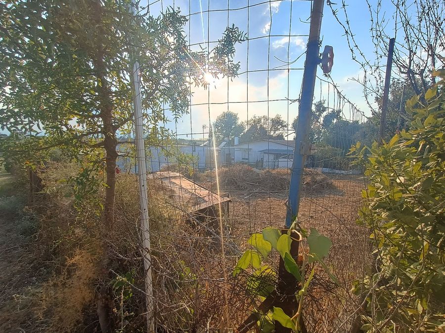 Photo 325414264