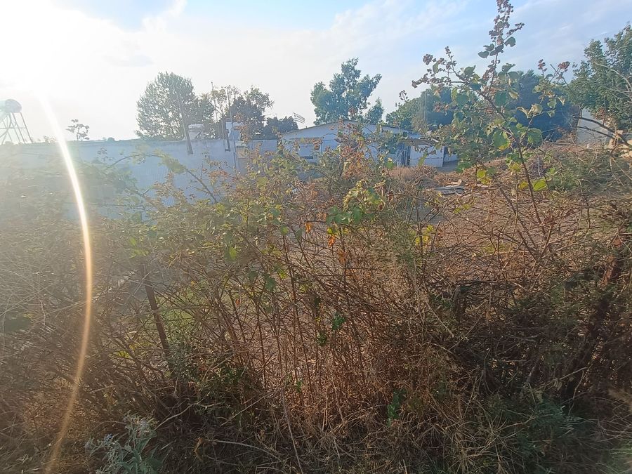 Photo 325414282