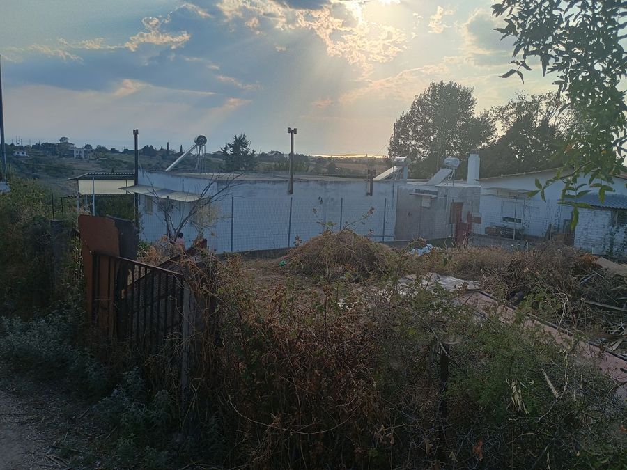 Photo 325414288