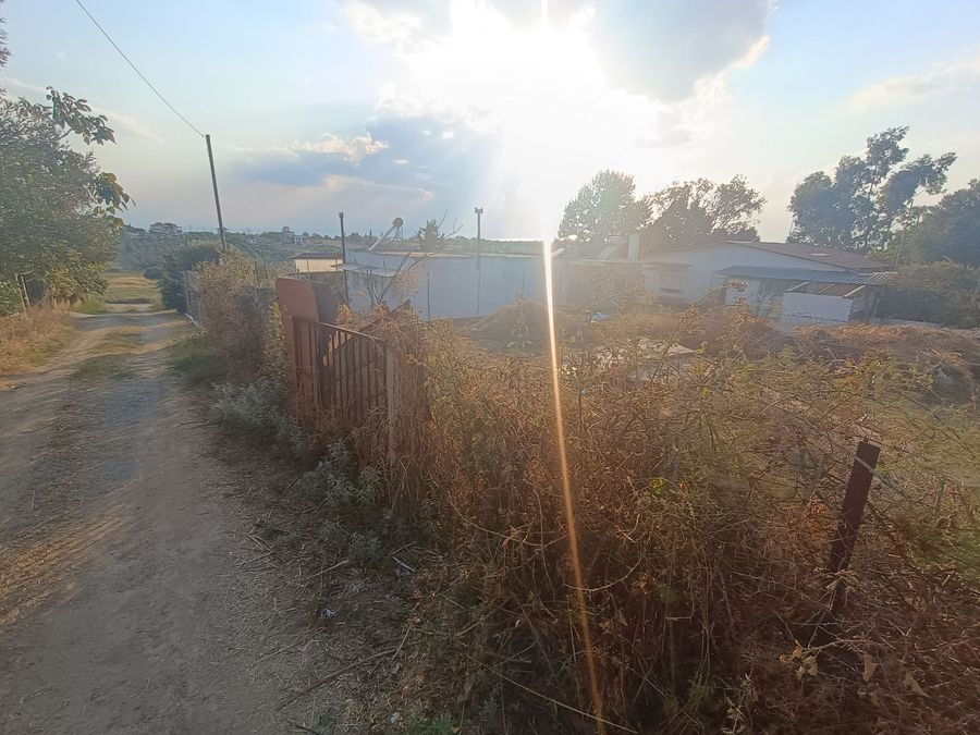 Photo 325414291