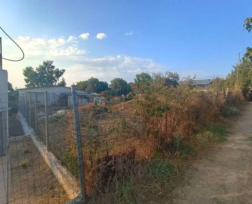 Photo 325414453
