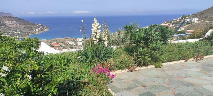 صورة فوتوغرافية 325616719