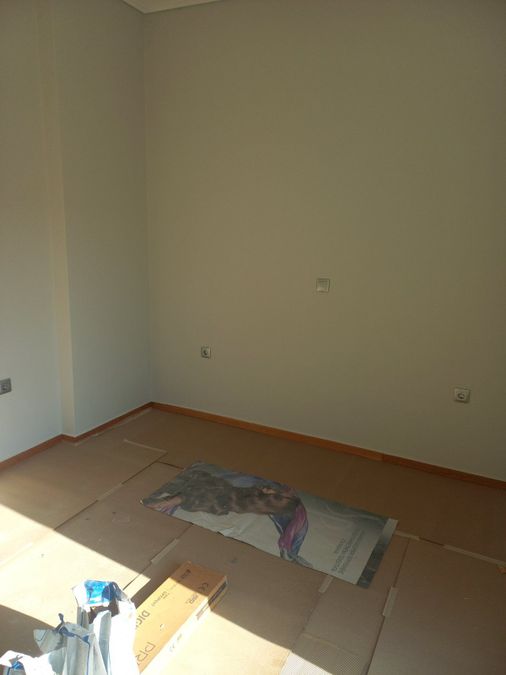 Photo 325622848