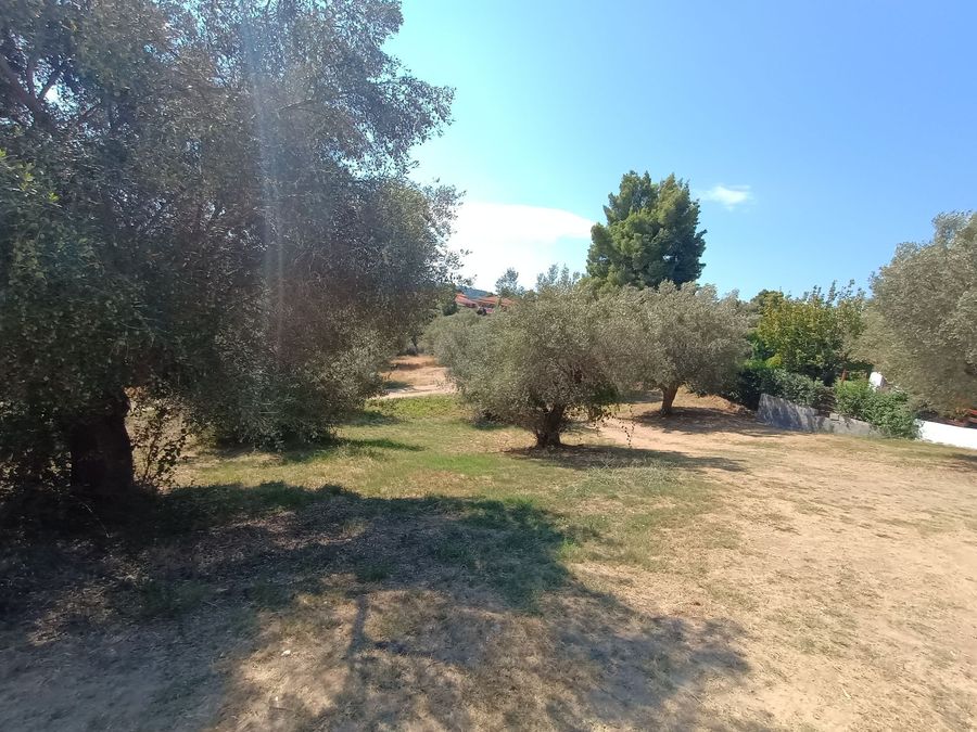 Photo 325639519
