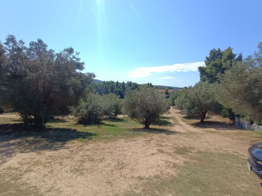 Photo 325639531