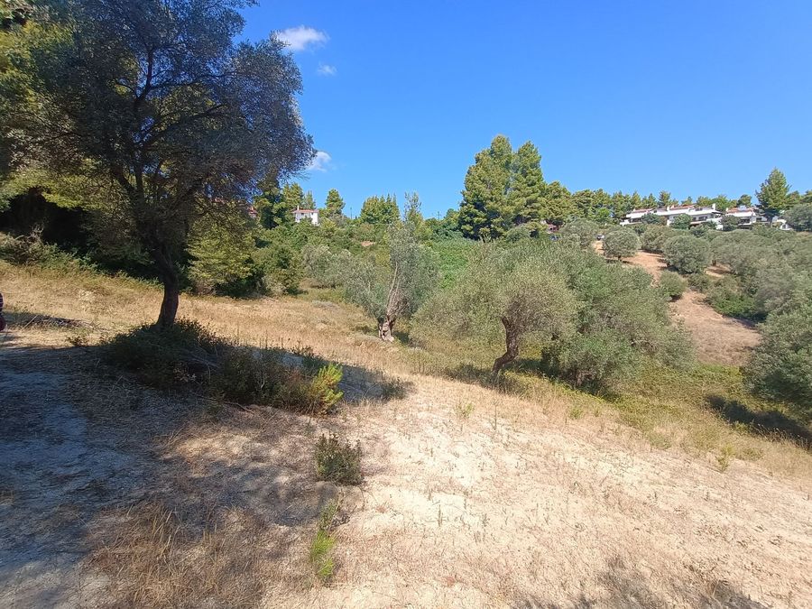 Photo 325644088