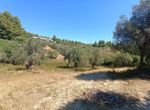 Photo 325644100