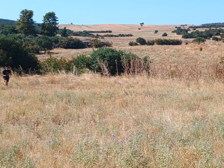 Photo 325822546