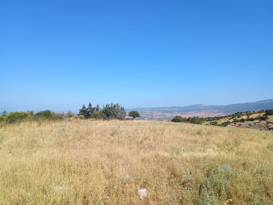 Photo 325822609