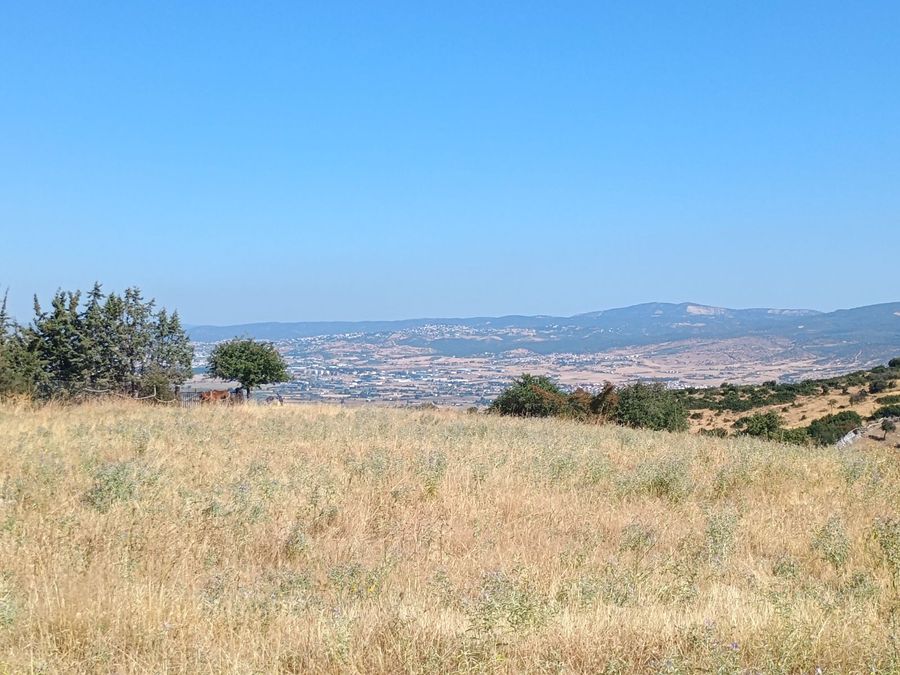 Photo 325822612