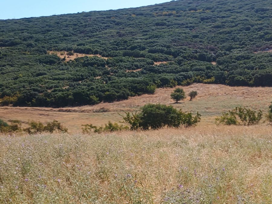 Photo 325822618