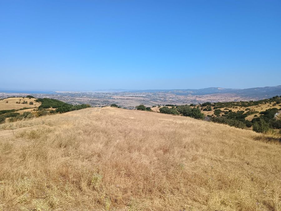 Photo 325822630