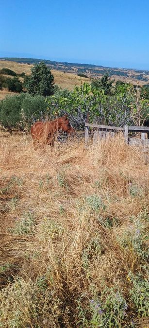 Photo 325823137