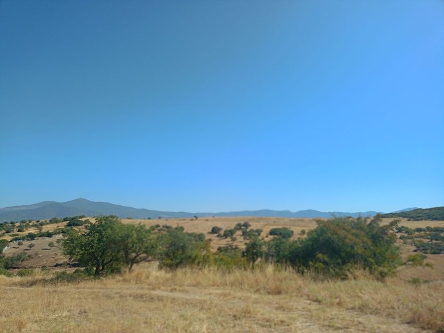 Photo 325823356
