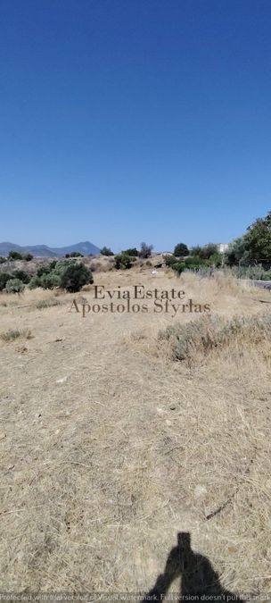 Photo 326009518