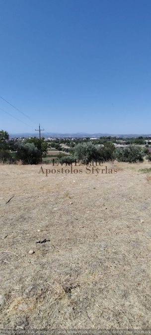 Photo 326009524