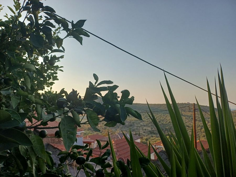 Photo 326040031
