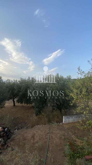 Photo 326041252