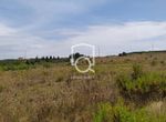 Photo 326162023