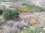 Photo 326792047