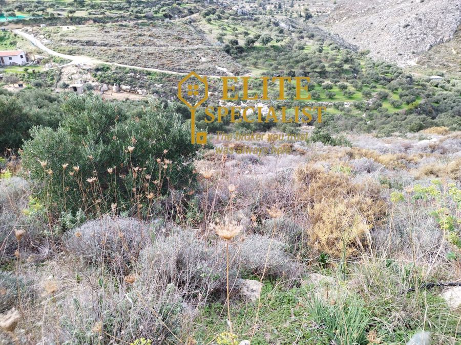 Photo 326792047