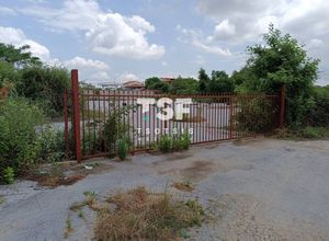  Edessa poljoprivredno zemljište za najam 6.500 ㎡ 750 
