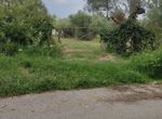 Photo 327331729
