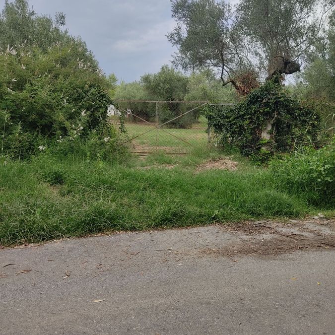 Photo 327331729