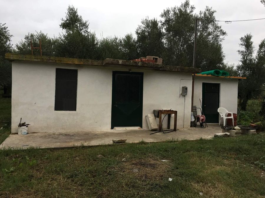 Photo 327331735