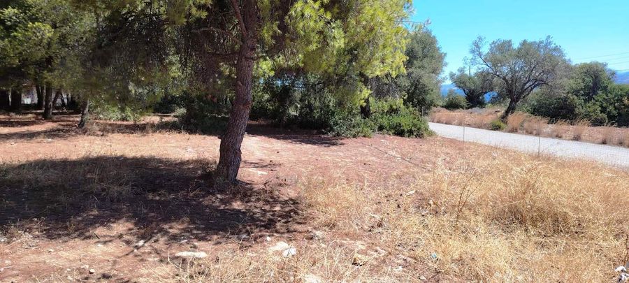 Photo 327439828