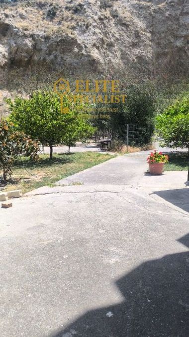 Photo 327919144