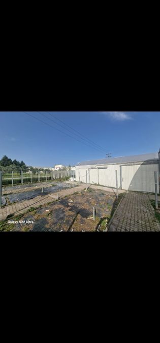 Foto 327942373