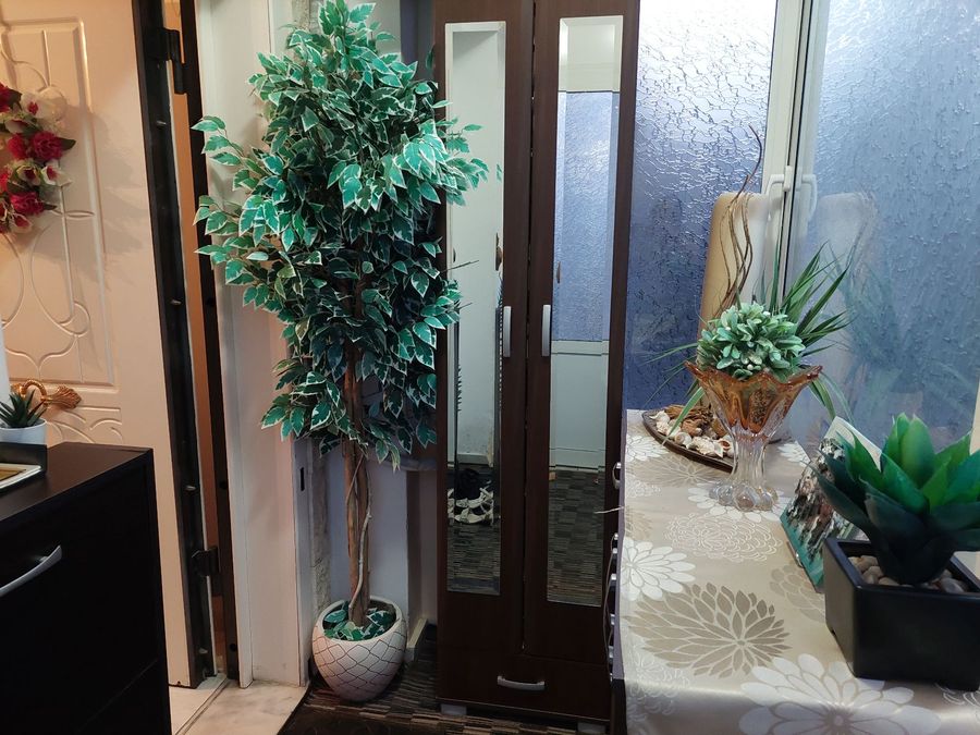 Photo 327972652